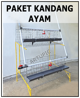 Paket kandang ayam artupic