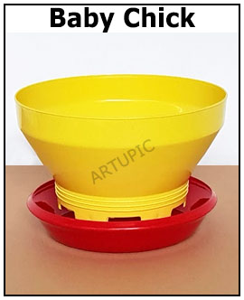 Baby Chick tempat makan ayam
