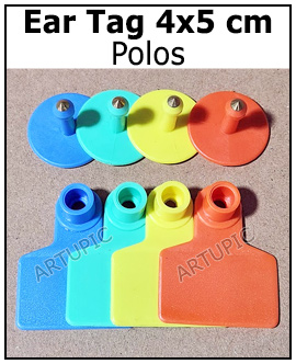 Ear Tag Babi