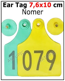 Ear Tag 7x10 cm Nomer