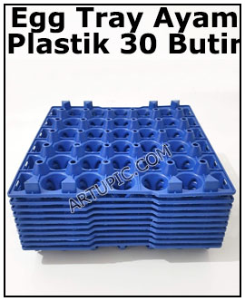 Egg tray ayam 30 butir