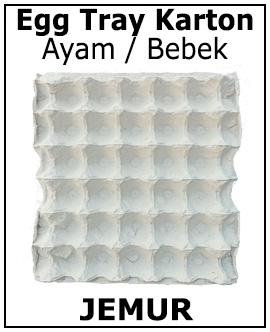 Egg tray karton 