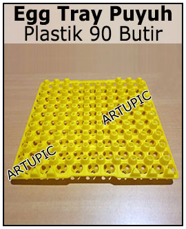 Egg tray puyuh plastik