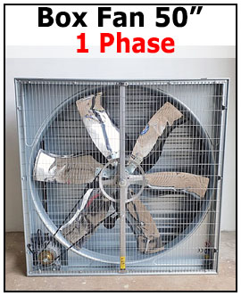 Box Fan Blower 1 Phase 50 inch