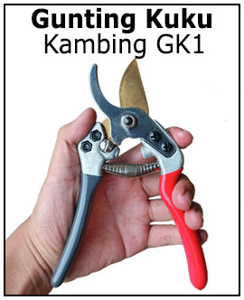 Gunting Kuku Kambing