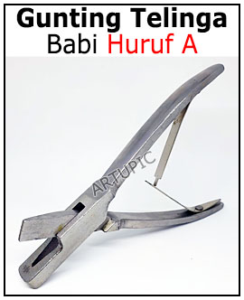 Gunting telinga kuping babi