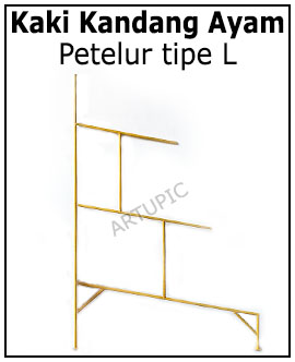 Kaki kandang ayam petelur