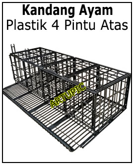 Kandang ayam petelur plastik