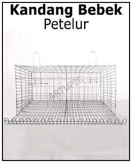 Kandang bebek petelur
