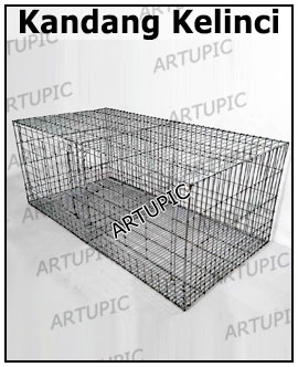 Kandang Kelinci Galvanise