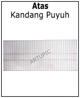 Kandang puyuh bagian atas