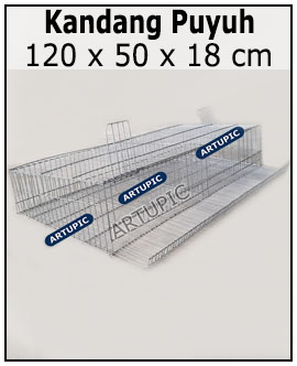 kandang Puyuh 