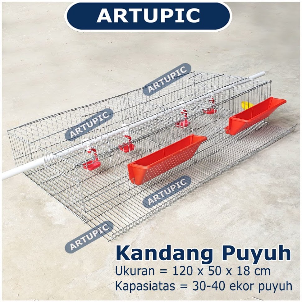 Kandang Puyuh Komplit Lengkap