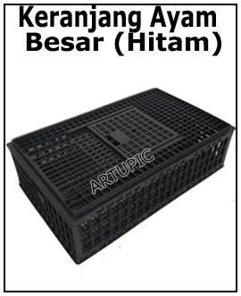 Keranjang ayam hitam