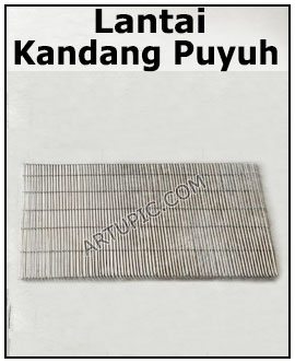 Lantai Kandang Puyuh 