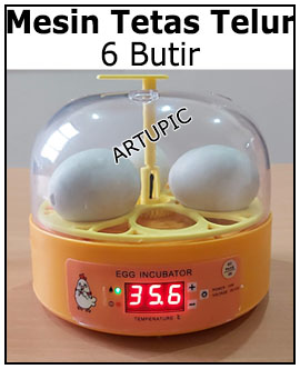 Mesin Tetas Telur