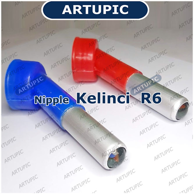 Nepel kelinci Artupic R6