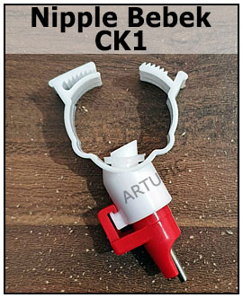 Nipple bebek CK1 Artupic