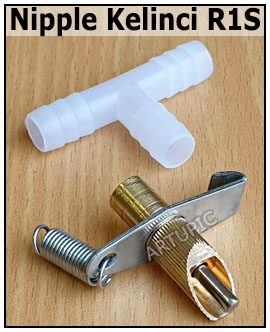 nipple nepel kelinci R1S