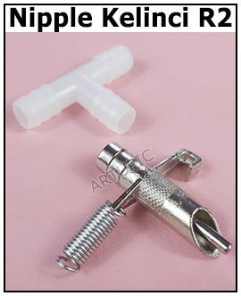 nipple nepel kelinci R2