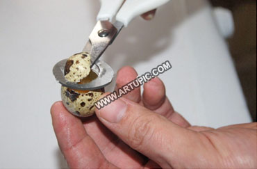 Gunting telur puyuh