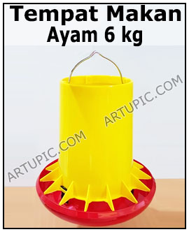 Tempat makan ayam 6 kg with protector