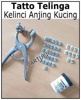 Alat tatto tato telinga kelinci