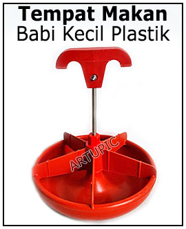 Tempat makan babi kecil