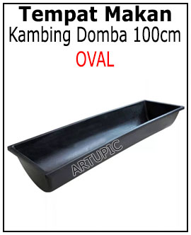 Talang pakan makan minum kambing