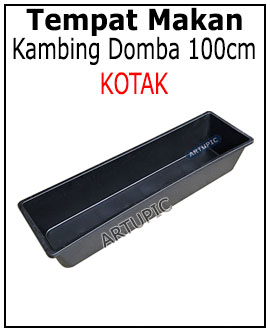 Talang pakan makan minum kambing Kotak