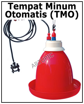 TMO tempat minum ayam